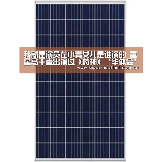 华体会官方网站入口