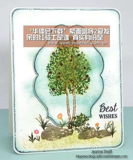 华体会下载