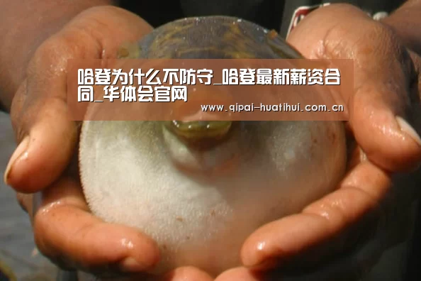华体会官方网站入口
