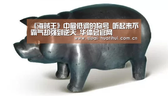 《海贼王》中最低调的称号 听起来不霸气却强到逆天_华体会官网(图1) 华体会官方网站入口